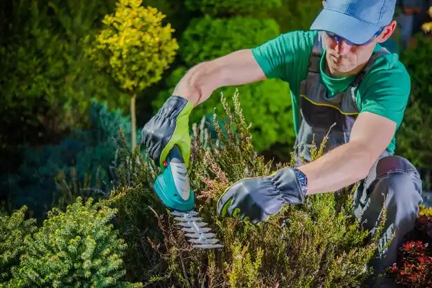 landscaping services St. Francisville